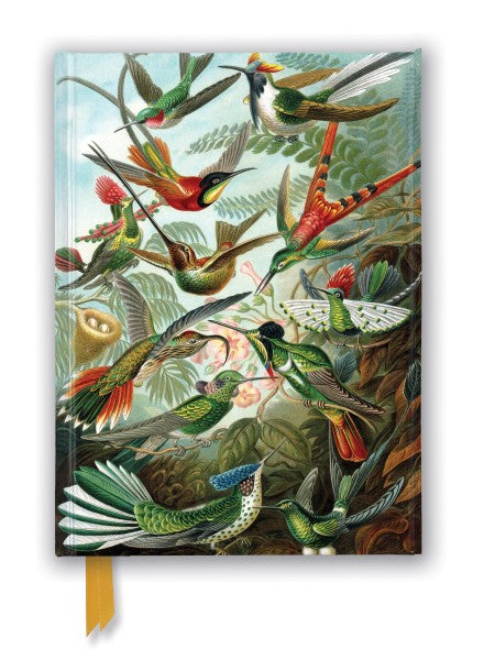 Ernst Haeckel: Hummingbirds Foiled Lined A5 Notepad