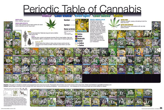 Periodic Table Regular Poster (61x91.5cm)