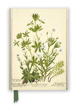 Load image into Gallery viewer, Charlotte Cowan Pearson: Stitchworts, Woodruff and Pepperwort Foiled Lined A5 Notepad
