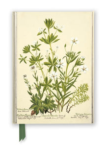 Charlotte Cowan Pearson: Stitchworts, Woodruff and Pepperwort Foiled Lined A5 Notepad