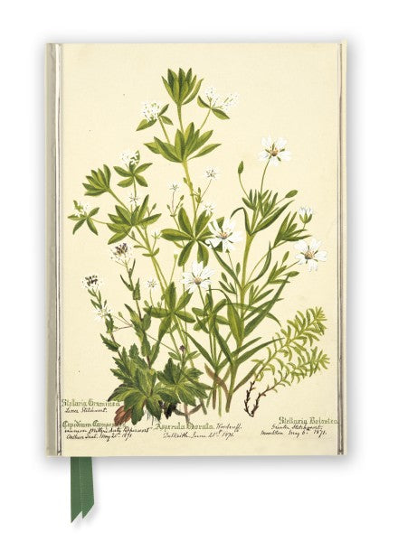 Charlotte Cowan Pearson: Stitchworts, Woodruff and Pepperwort Foiled Lined A5 Notepad